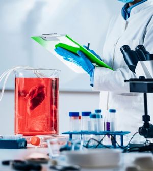 15<span>Yıllık Deneyim<br></span>